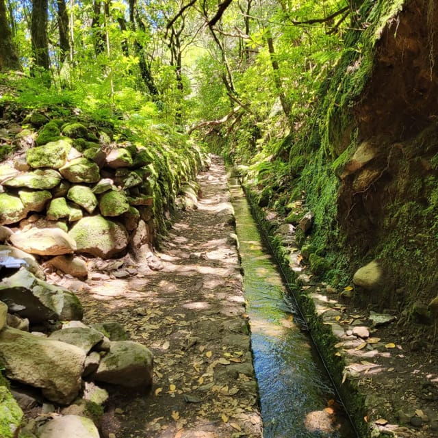 pico-do-arieiro-santana-more-full-day-madeira-east-tour