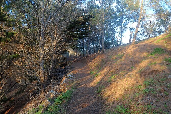 pico-do-facho-panoramic-trail