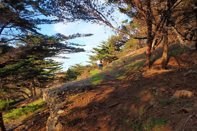 pico-do-facho-panoramic-trail