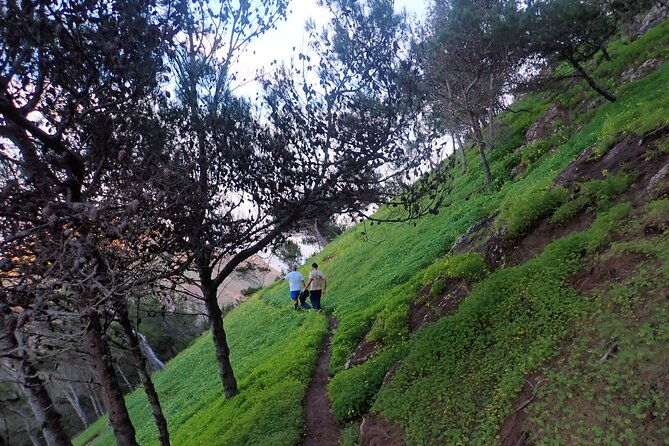 pico-do-facho-panoramic-trail