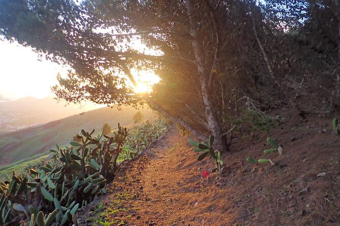 pico-do-facho-panoramic-trail