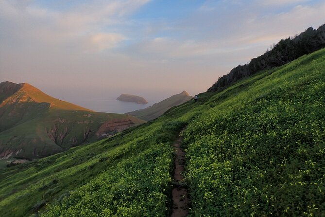 pico-do-facho-panoramic-trail