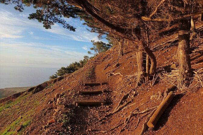 pico-do-facho-panoramic-trail