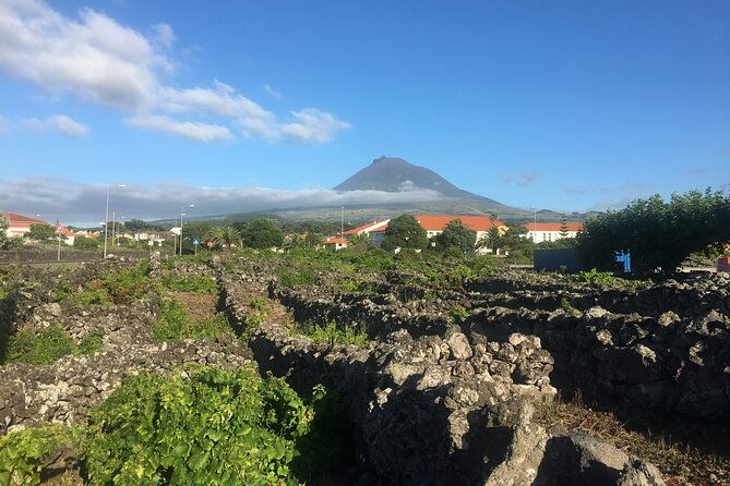 pico-girl-power-wine-tasting-and-cultural-experience
