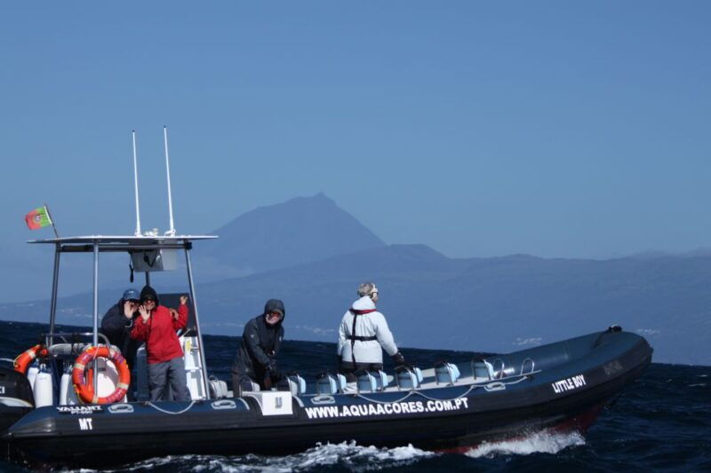 pico-island-azores-whale-dolphin-watching-on-zodiac-boat