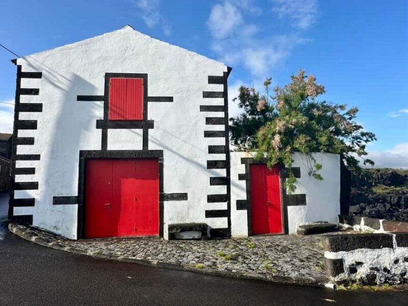 Pico island: discover the volcanic jewel of the Atlantic - Key Points