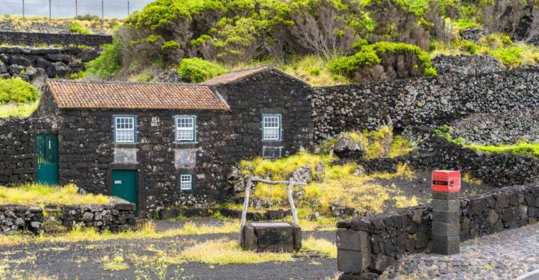 pico-island-full-day-wine-culture-tour