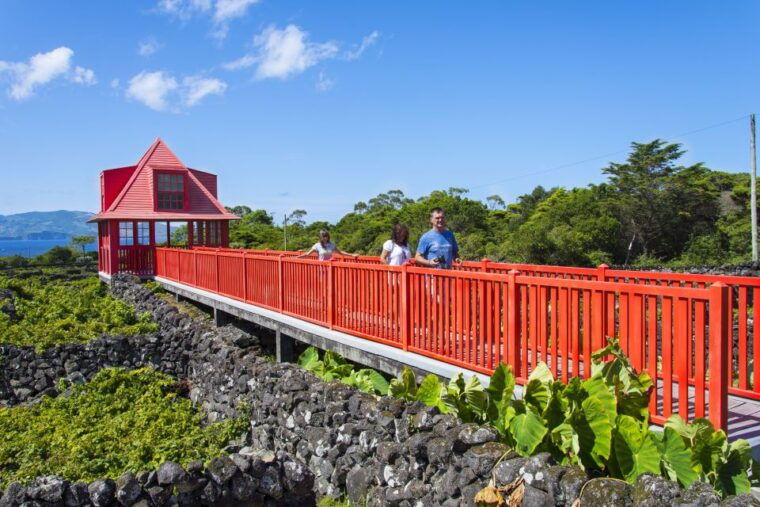 pico-island-full-day-wine-culture-tour