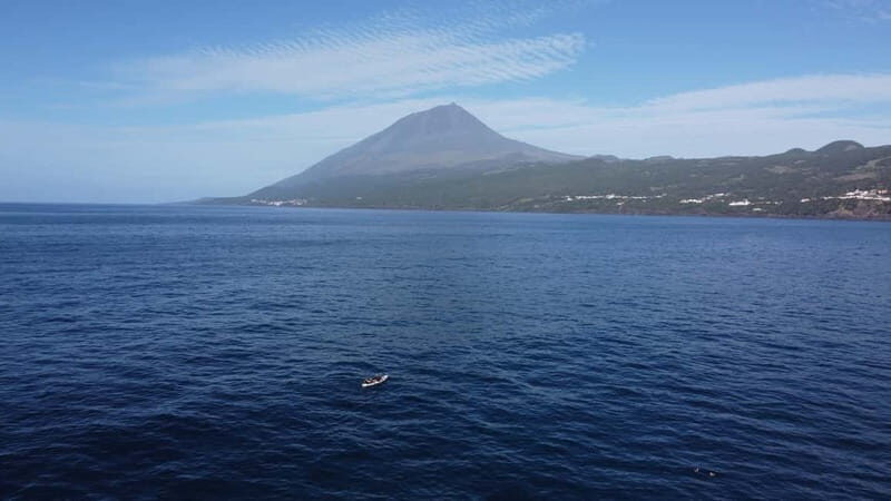 Pico island: guided kayak and snorkel tour - Key Points
