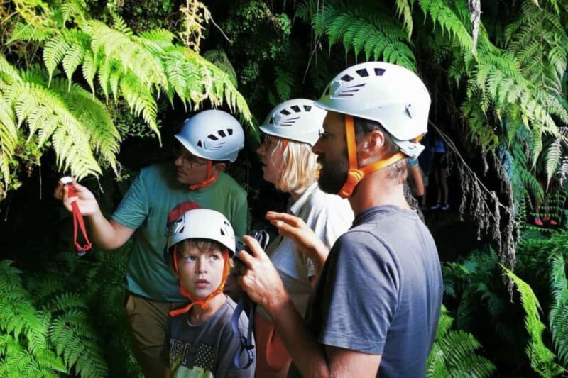 Pico Island: Private Highlights Tour - Key Points