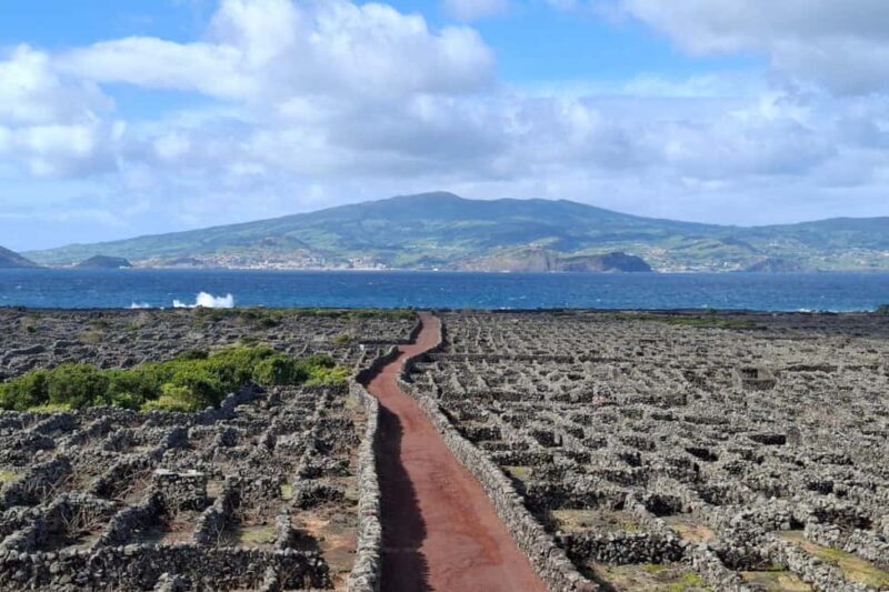 Pico Island: Private Highlights Tour - Volcanic Curiosities and Underground Wonders