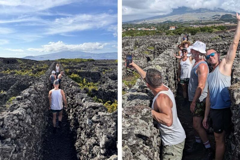 Pico Island: Private Highlights Tour - FAQ