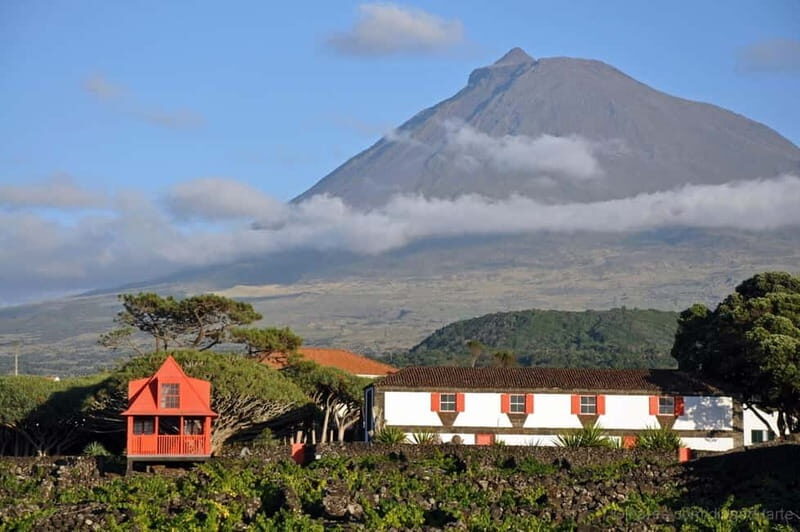 Pico Island: Tours on Pico Island - Introduction