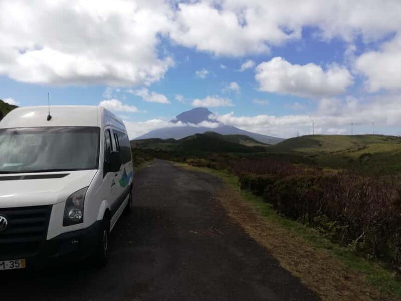 Pico Island: Tours on Pico Island - Who Will Love This Tour?