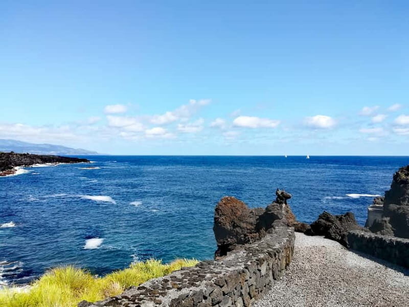 Pico Island: Tours on Pico Island - The Sum Up