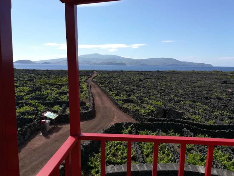 Pico Island: Tours on Pico Island - FAQ