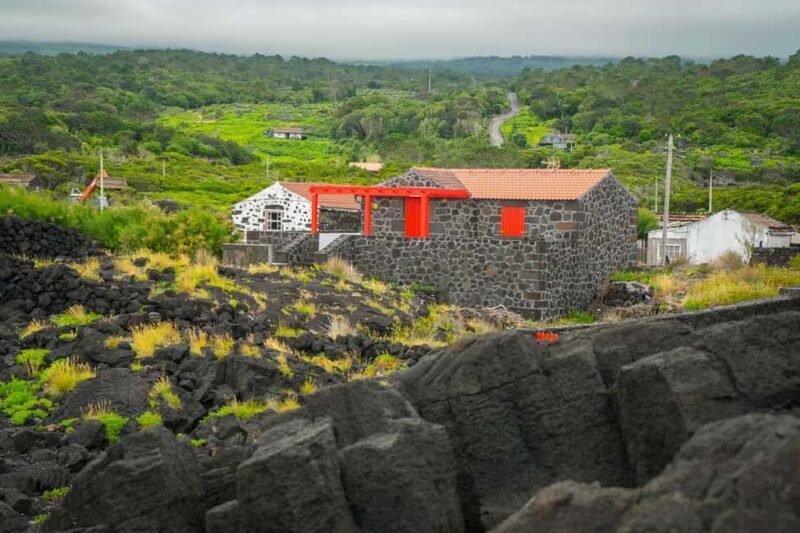 Pico Island: Wine and Vineyards Tour with Tasting - Key Points