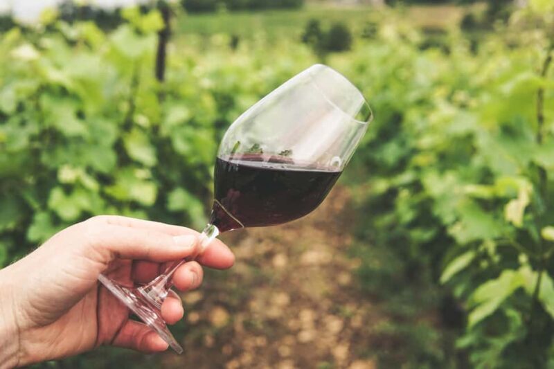 Pico Island: Wine and Vineyards Tour with Tasting - Practical Details and Experience Quality