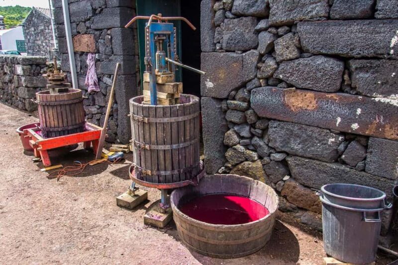 Pico Island: Wine and Vineyards Tour with Tasting - Final Thoughts