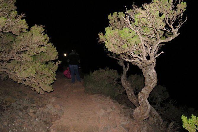 pico-ruivo-sunrise-hike-and-4x4-island-tour-from-funchal