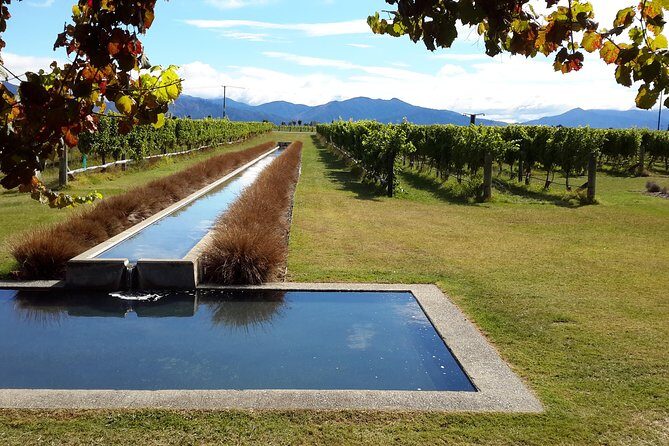 Picton Cruise Ship Shore Excursion Marlborough Wine Tour - FAQ: Your Questions Answered