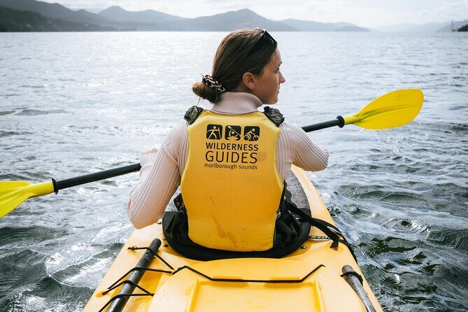 Picton Morning Guided Kayak with Afternoon Boat Cruise Tour - A taste of the Marlborough Sounds landscape