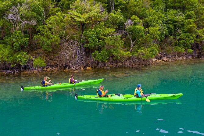 Picton Morning Guided Kayak with Afternoon Boat Cruise Tour - Practical details: timing, group size, and costs