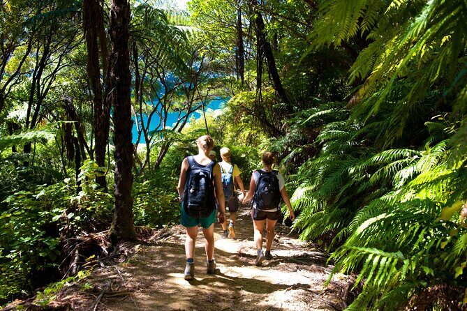 Picton Shore Excursion Kaipupu Sanctuary Water Taxi - Key Points