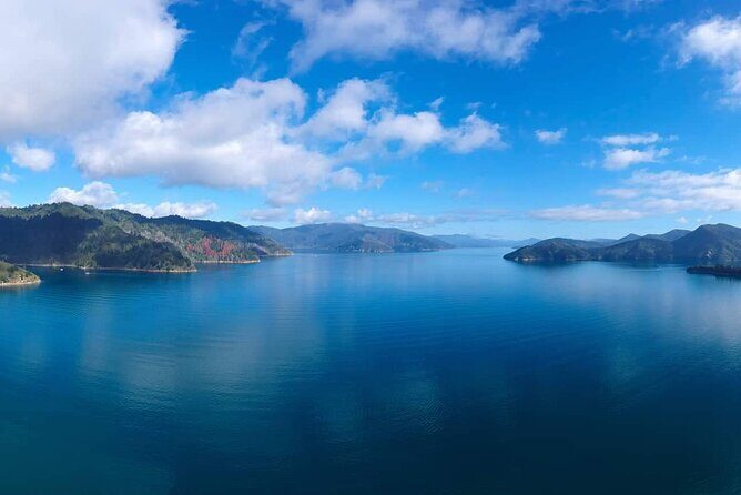 Picton Shore Excursion Queen Charlotte Sound Cruise - FAQs