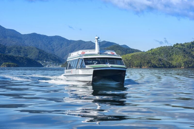 Picton Shore Excursion: Queen Charlotte Sounds Cruise - Key Points