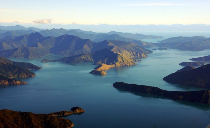 Picton Shore Excursion: Queen Charlotte Sounds Cruise - An In-Depth Look at the Queen Charlotte Sounds Cruise