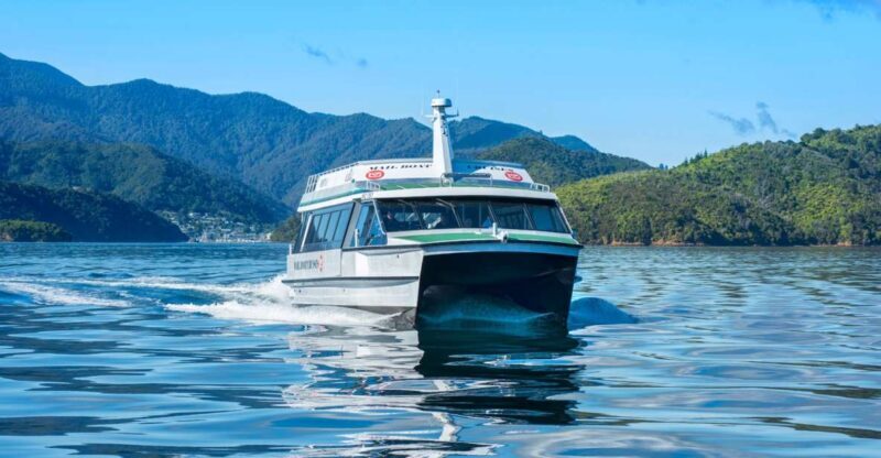 Picton Shore Excursion: Queen Charlotte Sounds Cruise - Final Thoughts: Is This Cruise Worth It?