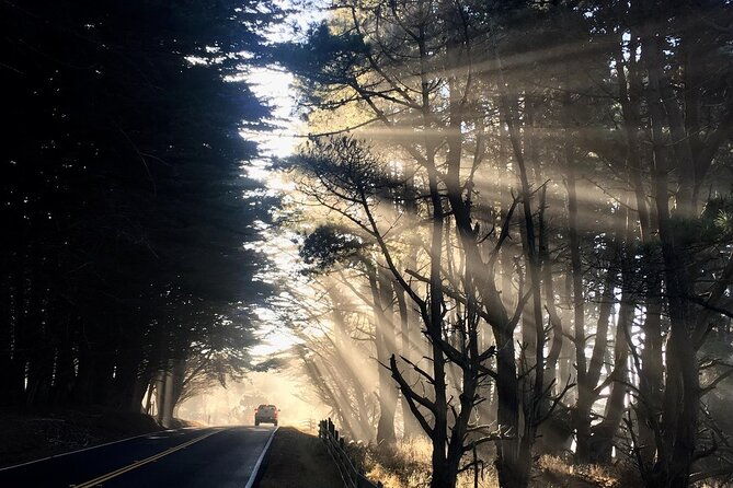 picture-your-best-sf-tour-ever-epic-bay-area-photo-adventures