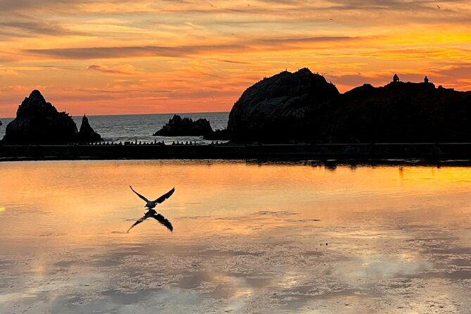 picture-your-best-sf-tour-ever-epic-bay-area-photo-adventures