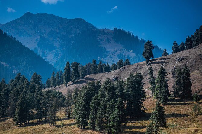 Picturesque Pahalgam: A Memorable Day Trip from Srinagar - Exploring Kashmir with a Private Full-Day Tour