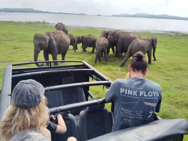 Pidurangala Rock Hike & Hurulu Eco Park Elephant Safari - An In-Depth Look at the Tour Experience