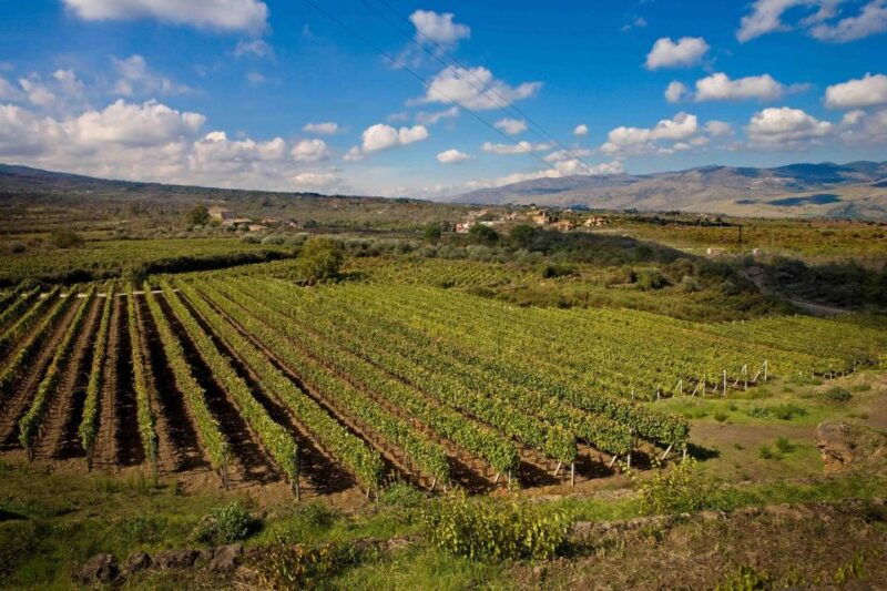 piedimonte-etneo-etna-wine-train-tour-sicily-wine-tasting