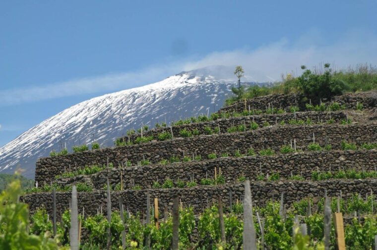 piedimonte-etneo-etna-wine-train-tour-sicily-wine-tasting