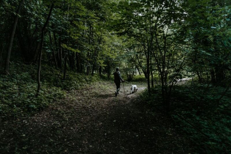 piedmont-private-truffle-hunting-tour-with-truffle-tasting