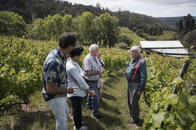 piedmont-private-wine-and-food-tour-with-tastings