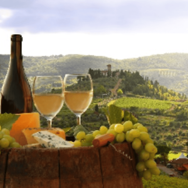 piedmont-private-wine-and-food-tour-with-tastings