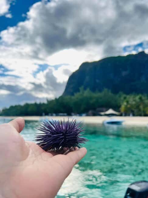'Pieds dans l'eau': Snorkel & have Lunch on 'Benitier island - Who Will Love This Tour?
