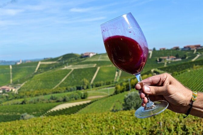 piemonte-vineyards-by-yourself-from-turin-business-car-with-english-chauffeur