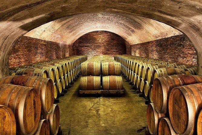 piemonte-vineyards-by-yourself-from-turin-business-car-with-english-chauffeur