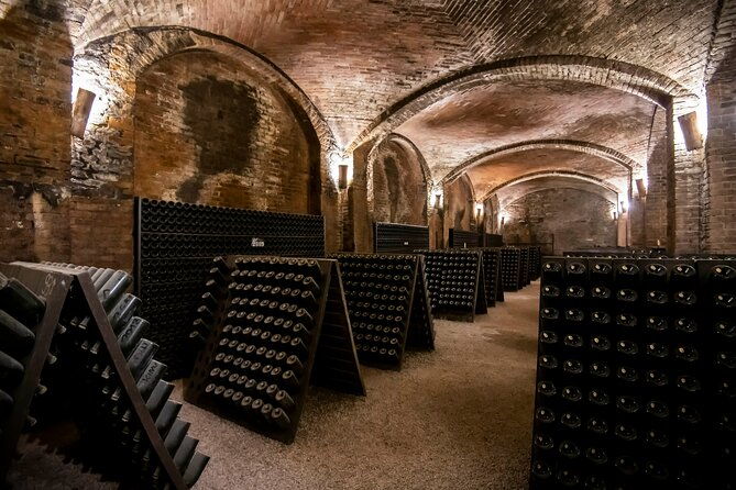 piemonte-vineyards-by-yourself-from-turin-by-luxury-van-with-english-chauffeur