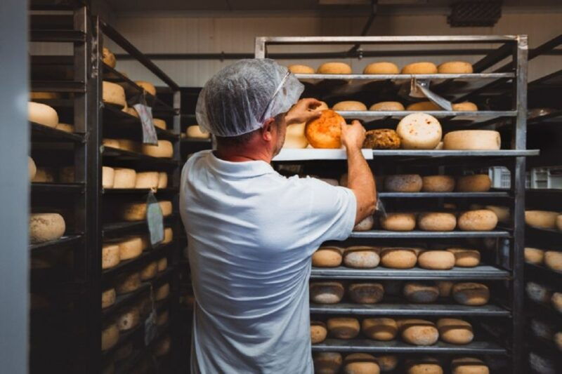 pienza-dairy-farm-tour-with-pecorino-cheese-tasting