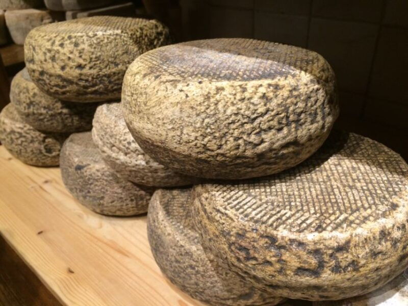 pienza-dairy-farm-tour-with-pecorino-cheese-tasting