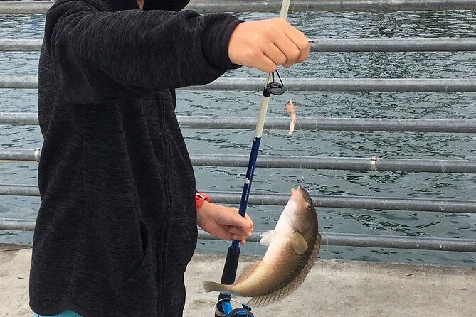 pier-fishing-tour-san-diego