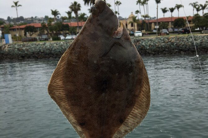 pier-fishing-tour-san-diego
