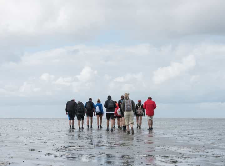 pieterburen-wadden-sea-mudflats-guided-walking-tour